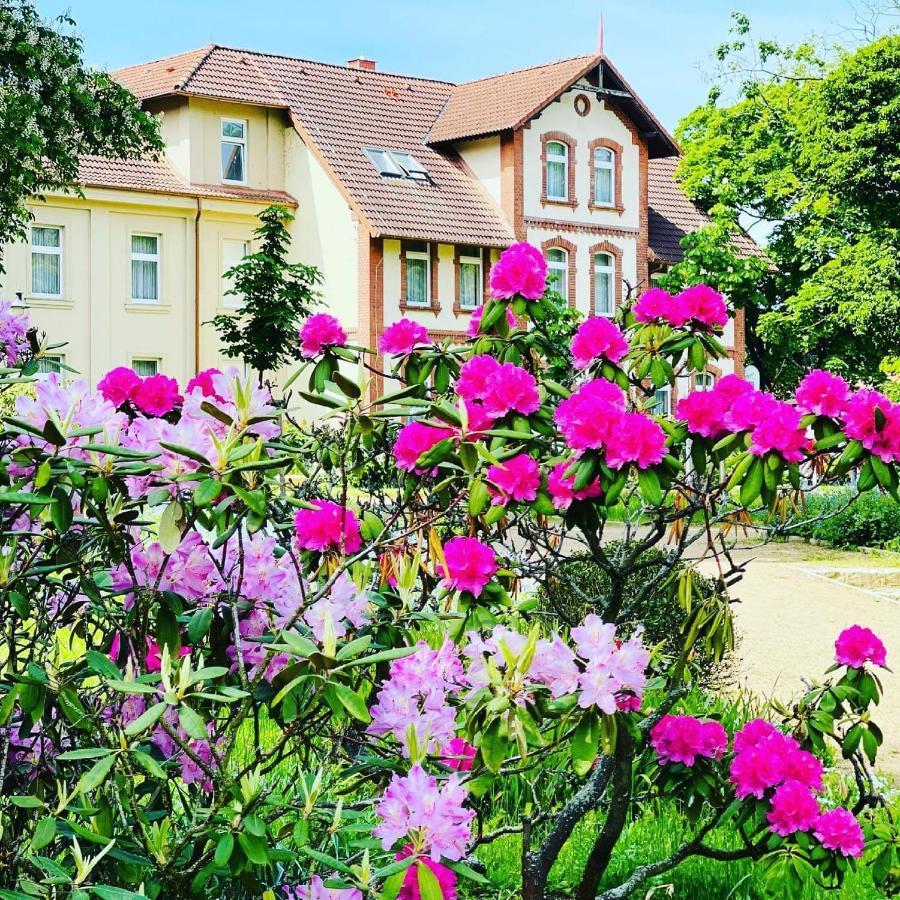 Parkhotel Pretzsch Bad Schmiedeberg Exterior photo