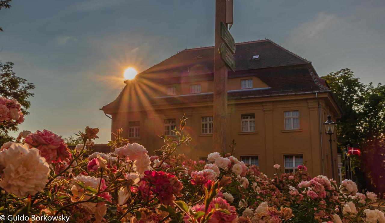 Parkhotel Pretzsch Bad Schmiedeberg Exterior photo